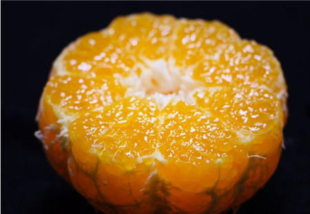 魏柑可能是這個季節最好吃的水果，90%的人都不知道